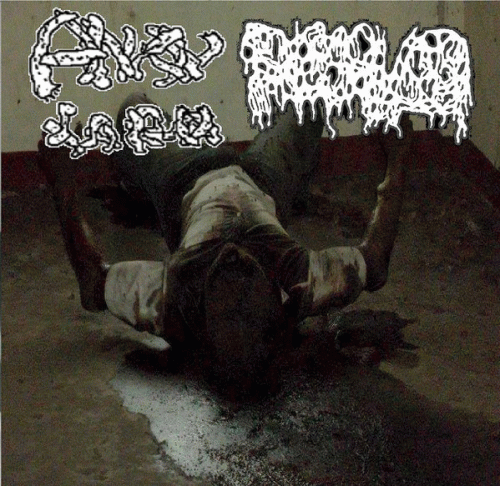 Dissolved : Anal Larva - Dissolved